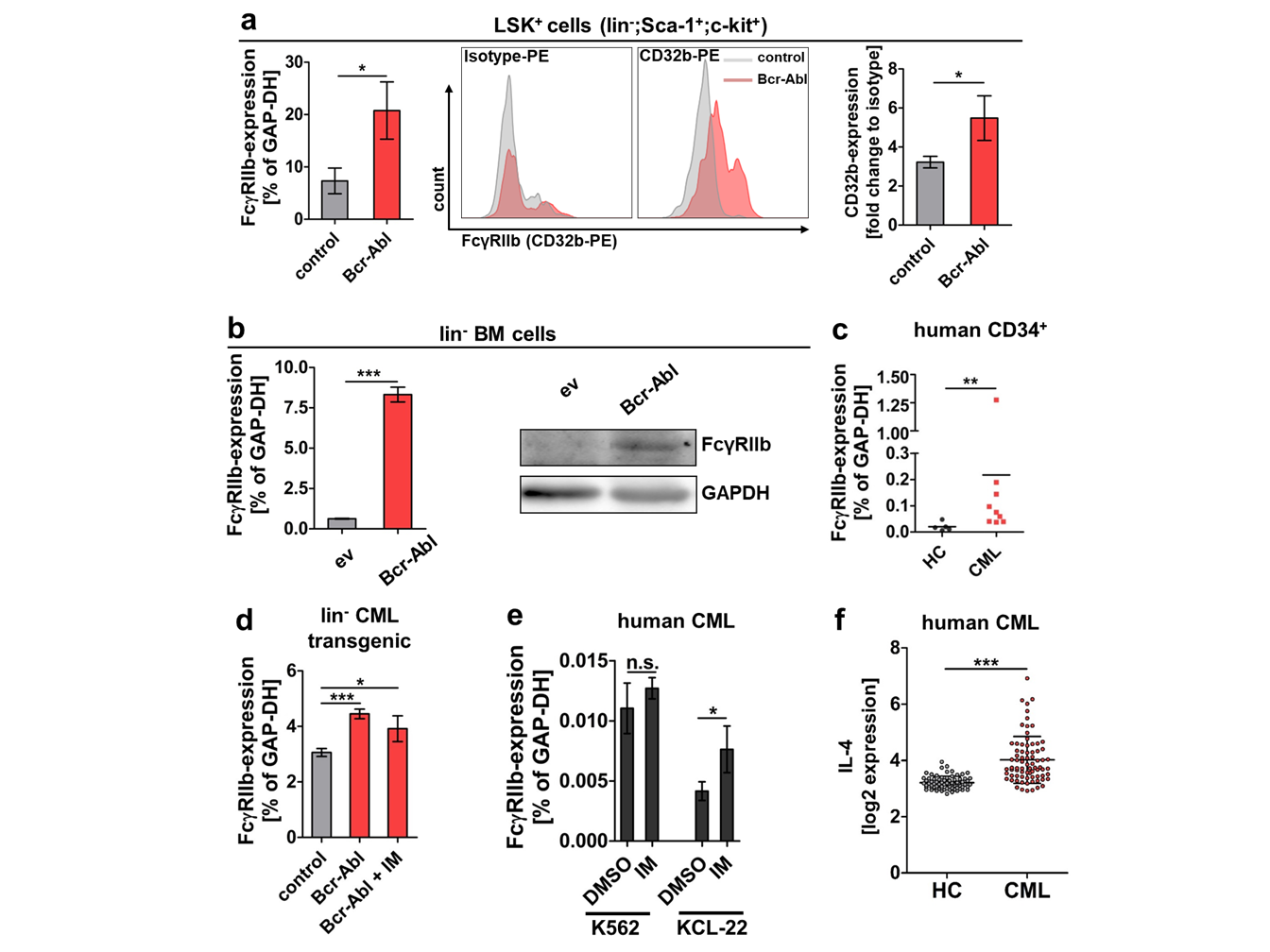 Therapeutic inhibition of FcγRIIb signaling targets leukemic stem cells in chronic myeloid leukemia