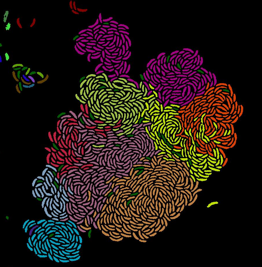 Bacterial cells alter behaviours depending on the food they are served