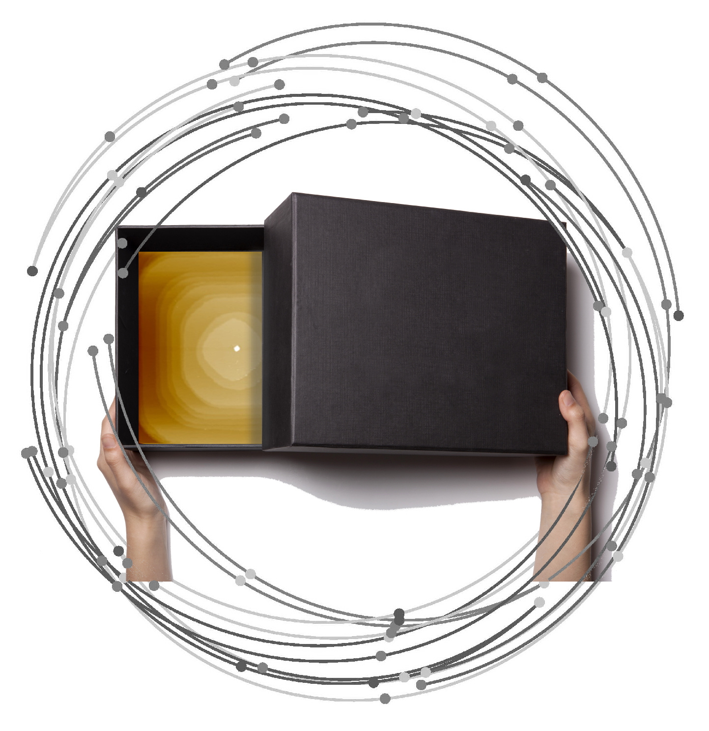 Peering into the Black Box of Zeolite Crystallization