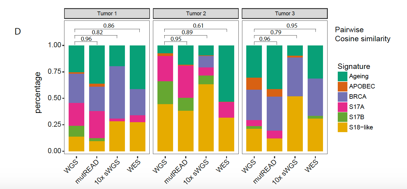 mutREAD: An affordable method to capture the archaeology of DNA damaging events in cancer genomes