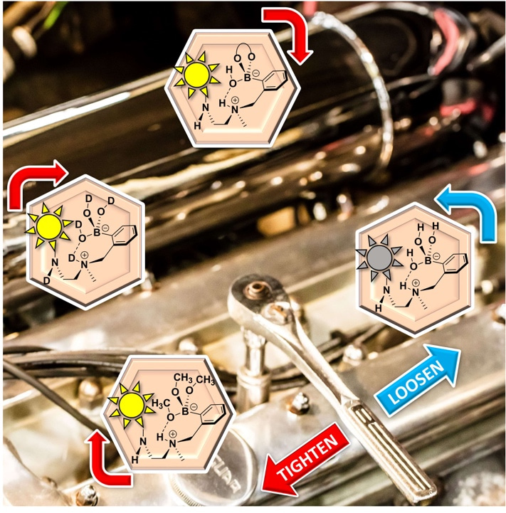 As We Like It - Boronic acid Sensors and Loose Bolts - The Final Act in a Shakespearian Drama