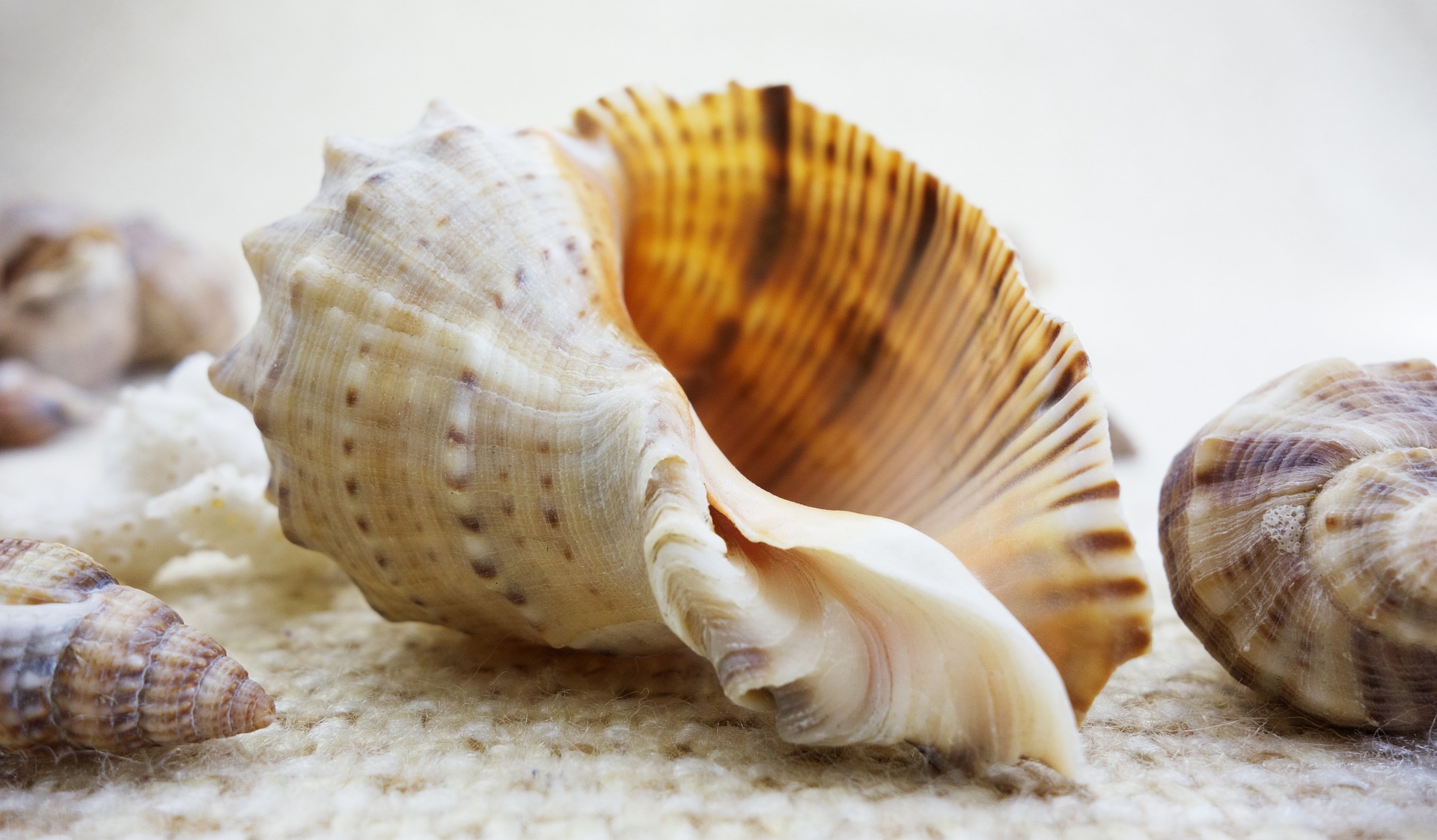 Does the inability to hear affect the individual's learning experience?