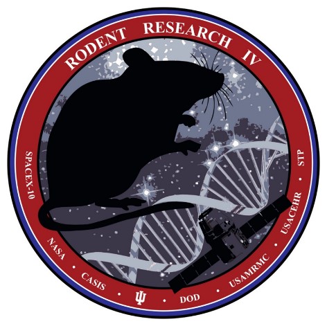 Rodent Research in Space: A Scientific Journey into the Unknown