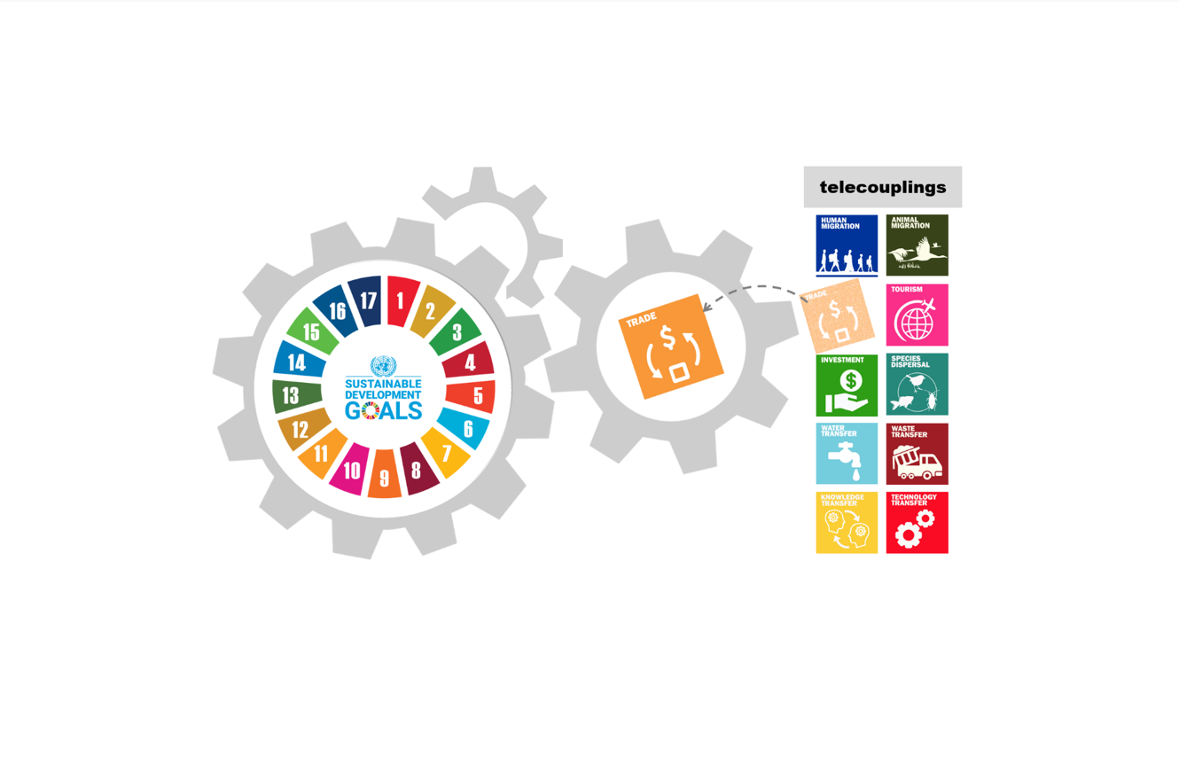Impacts of international trade on global sustainable development