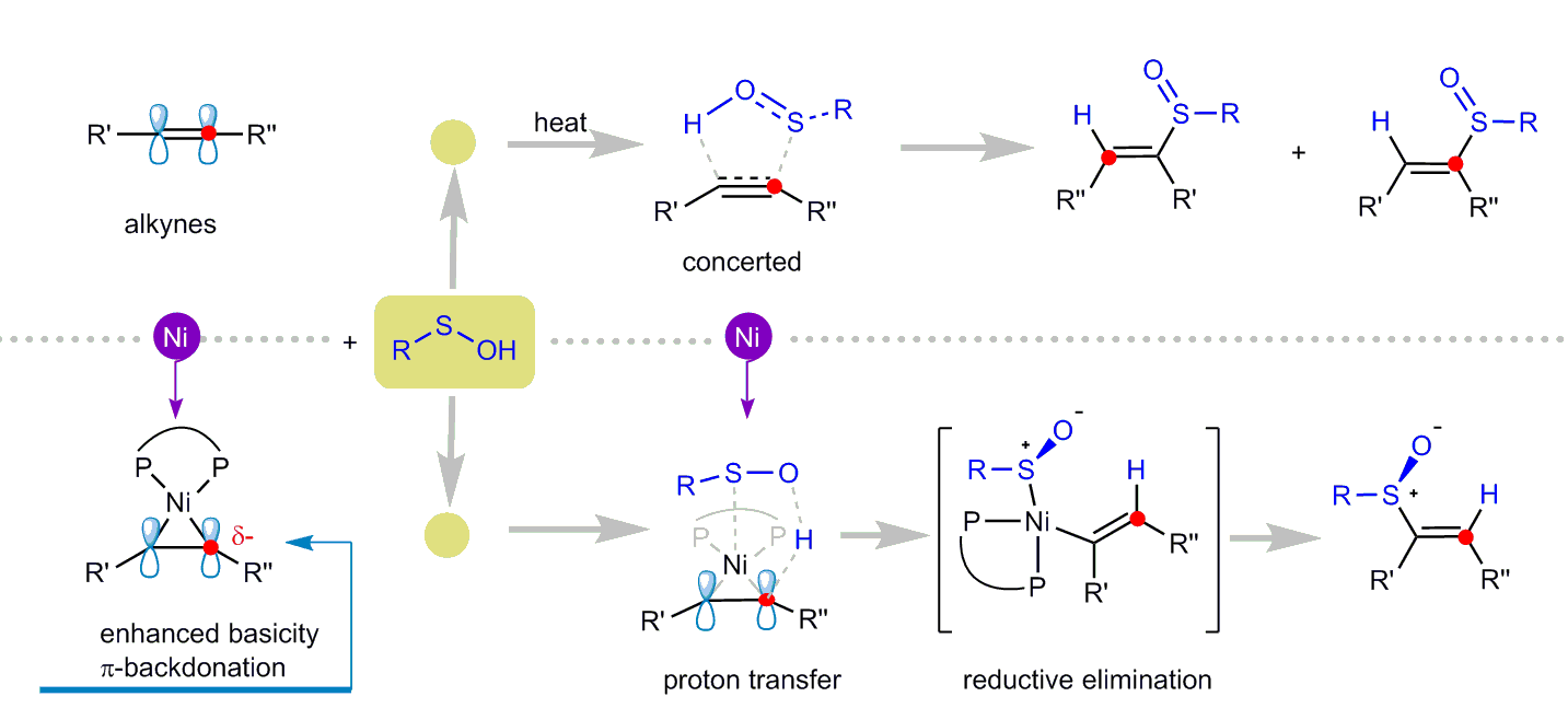 Nickel-catalysed enantioselective hydrosulfenation of alkynes