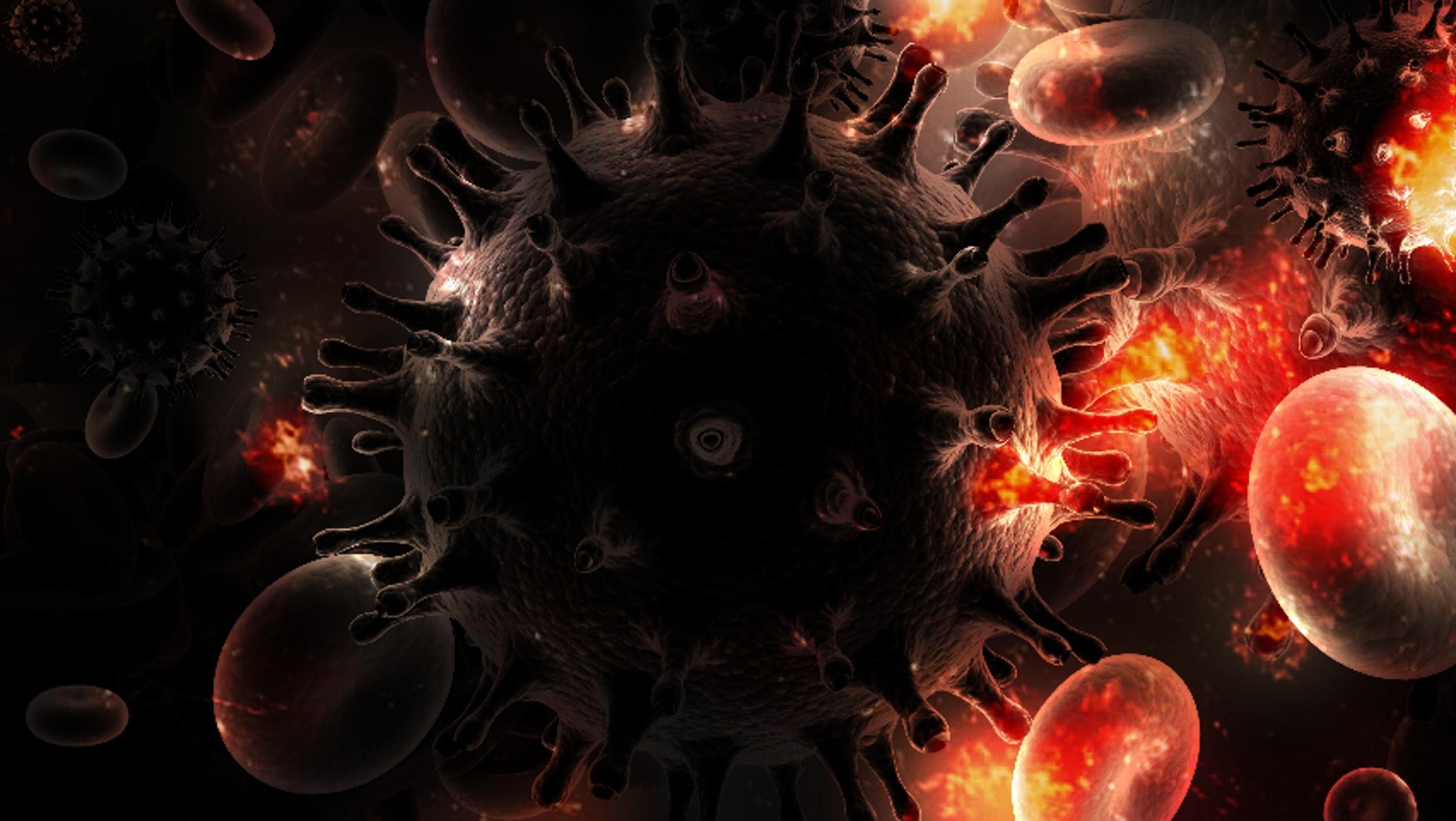 Inflammation in the GI tract during HIV infection could be affected by the gut microbiota
