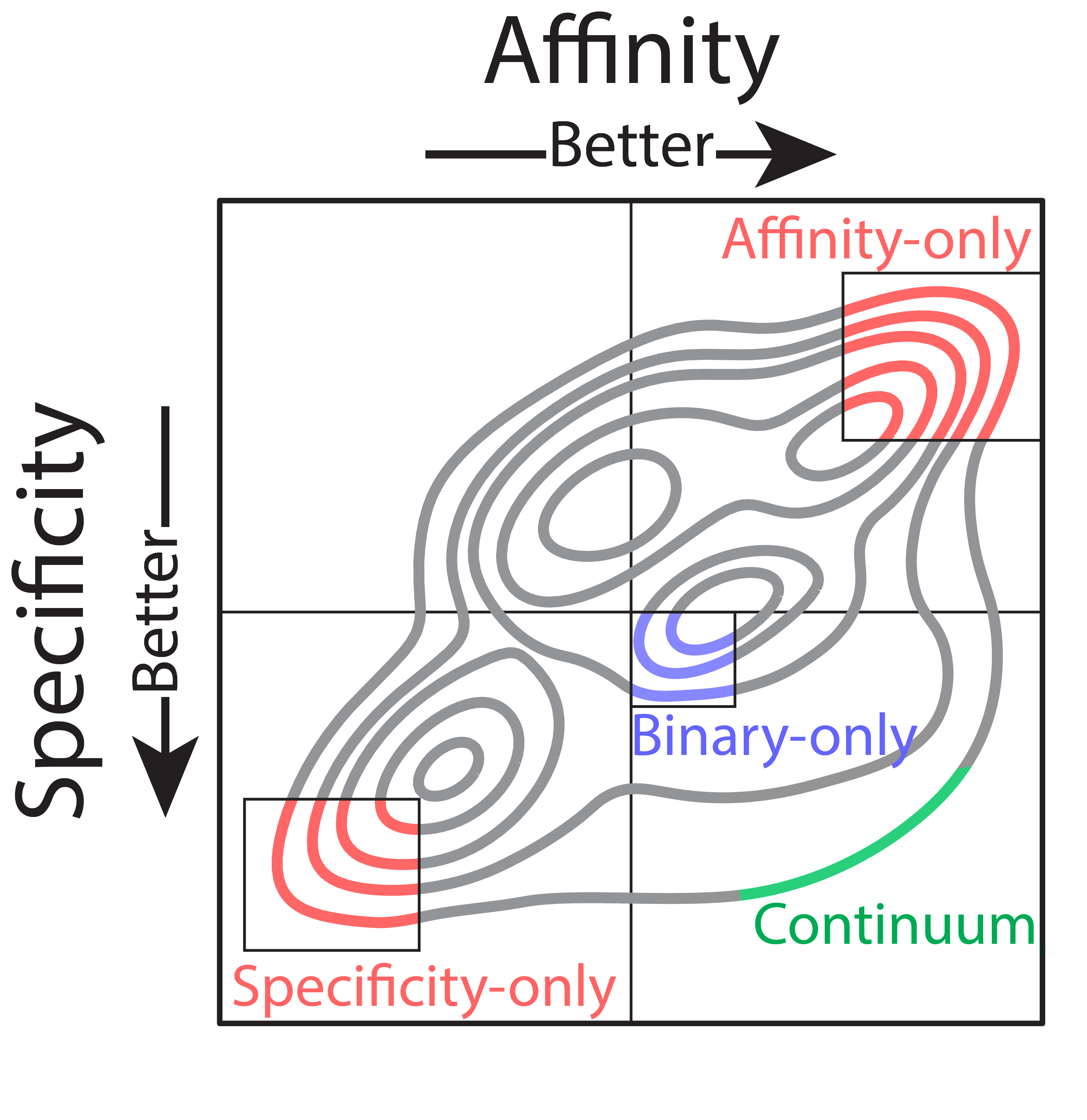 Enabling Multi-Objective Antibody Optimization