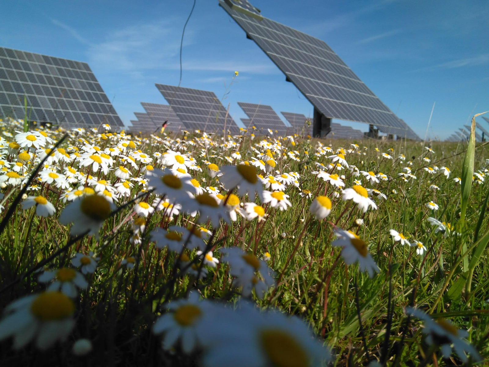Blowin’ the Wind: how many modules must exist to lose energy?