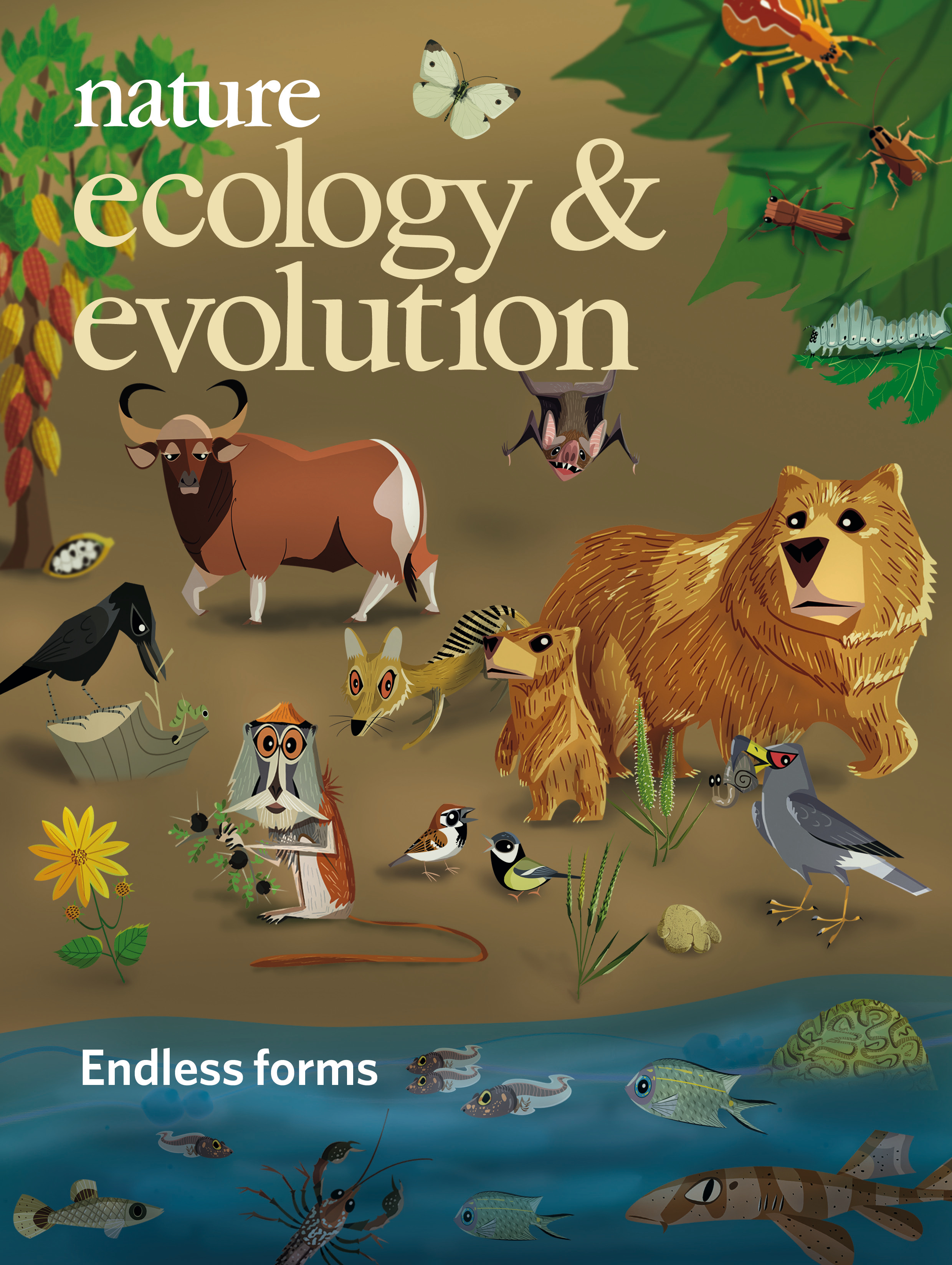 Gallery | January 2019 cover