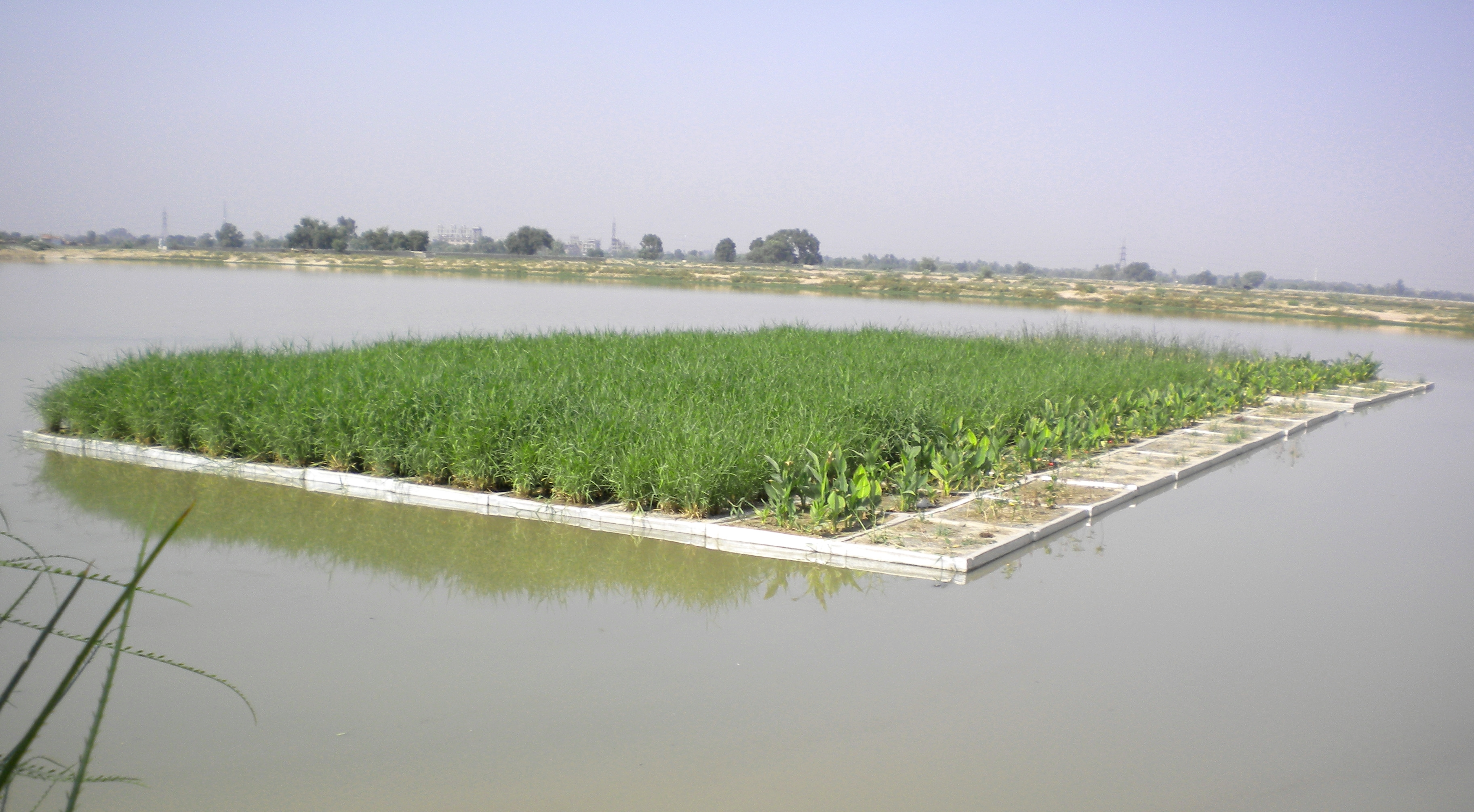 Floating wetlands for low-cost wastewater treatment
