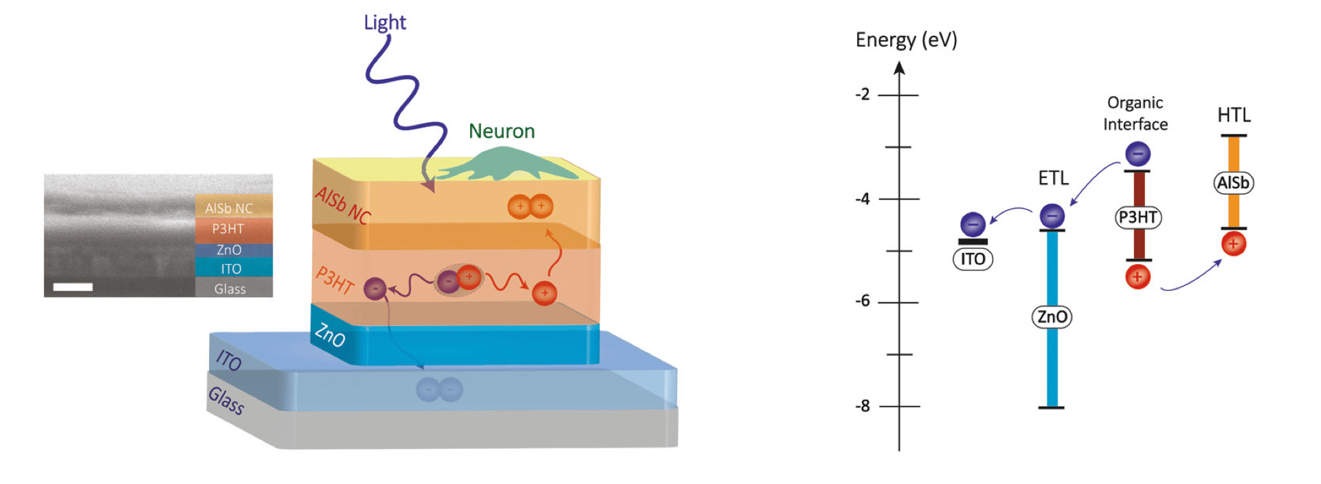 Building Neural Interfaces with Colloidal Nanocrystals