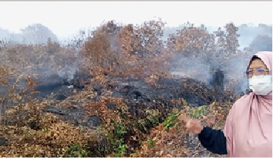 🔥 THE FIRE ABOVE. THE CARBON BELOW.