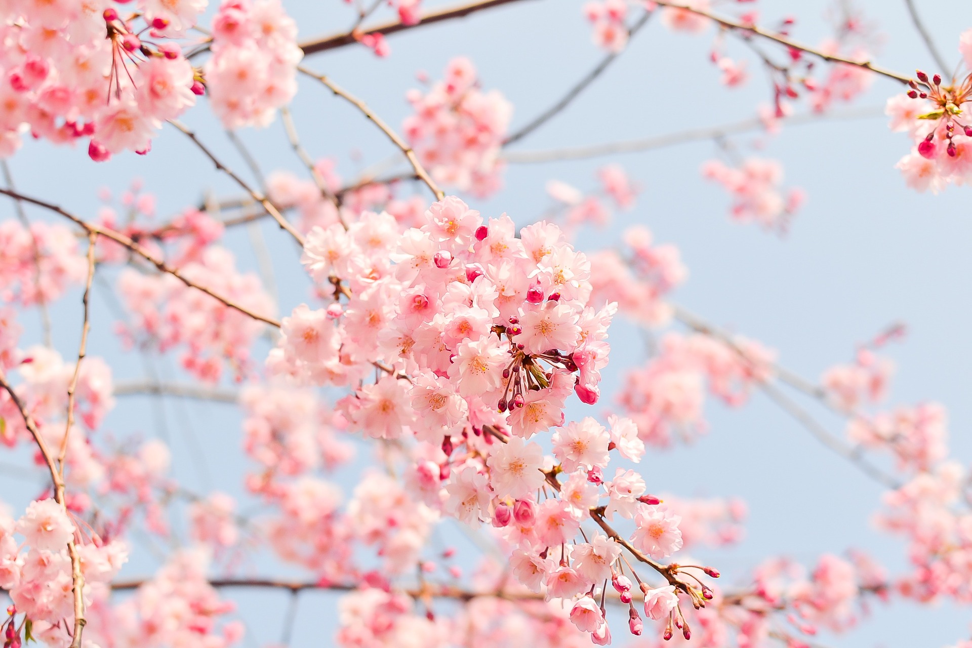DIARY: Seven days in Spring