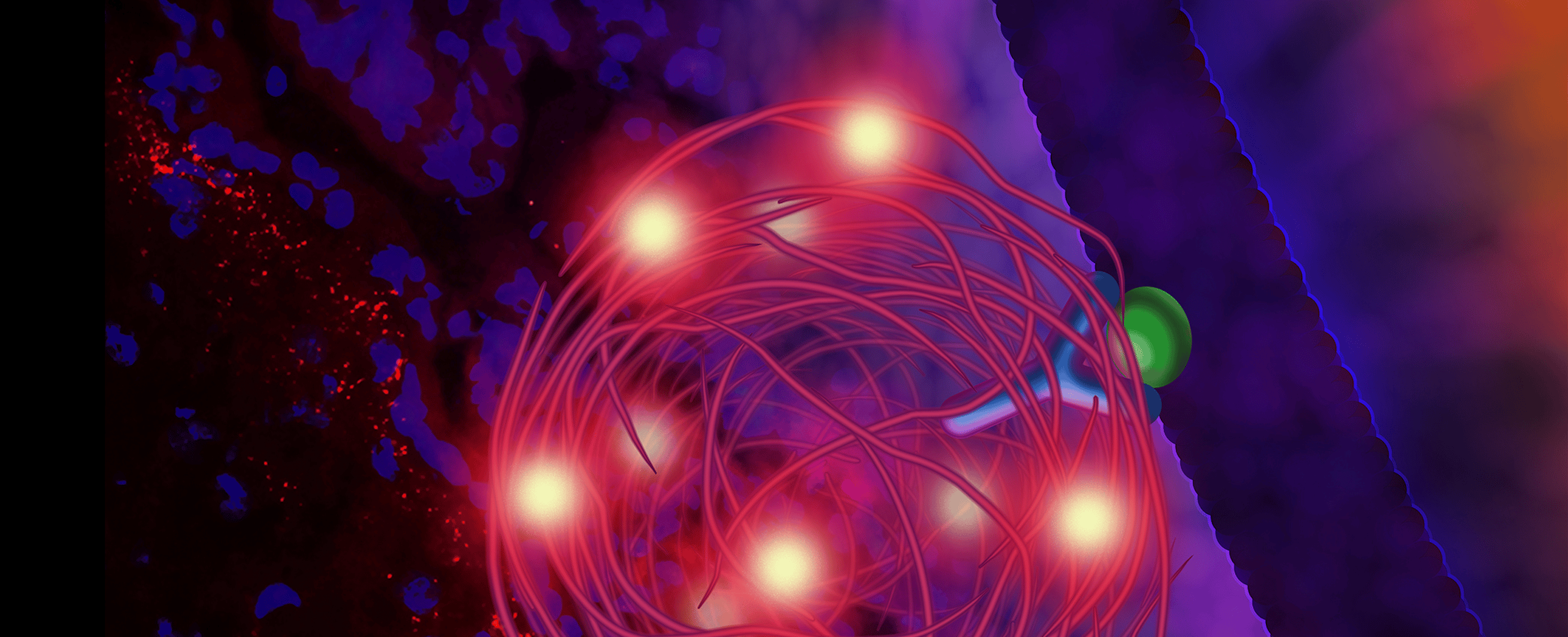 Turbocharging bioassays