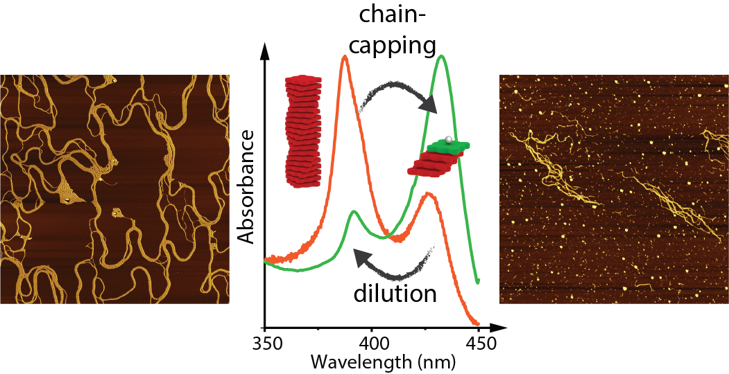 When less becomes more: dilution-induced supramolecular polymerization revived