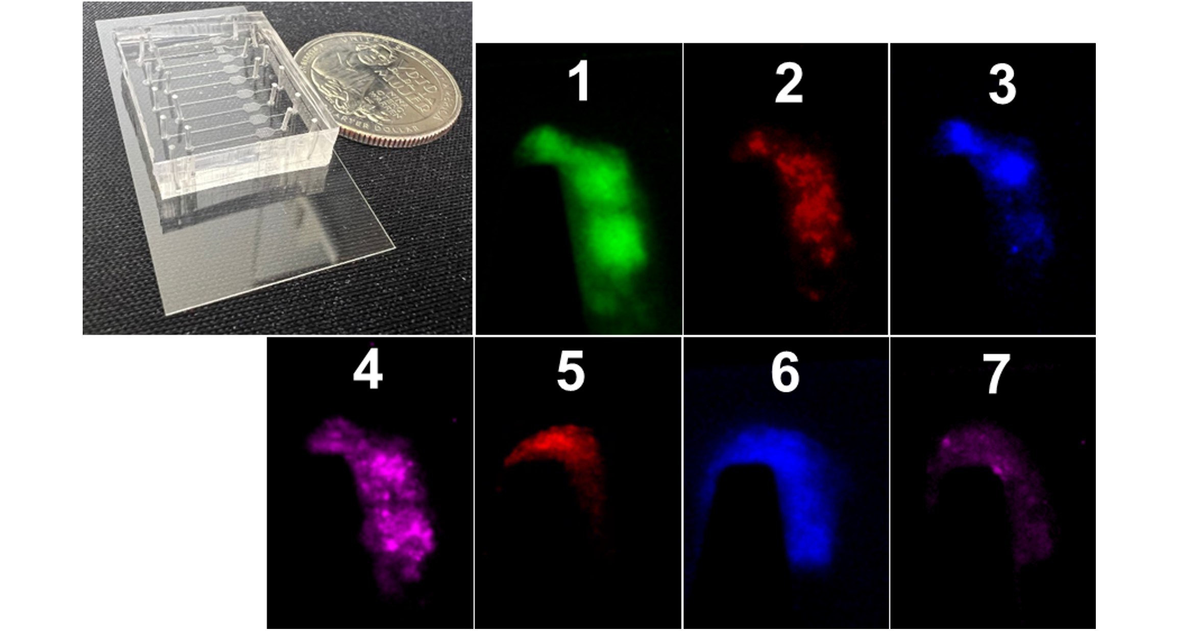 Bridging the gap: an all-around platform for evaluating biomechanical thrombogenesis