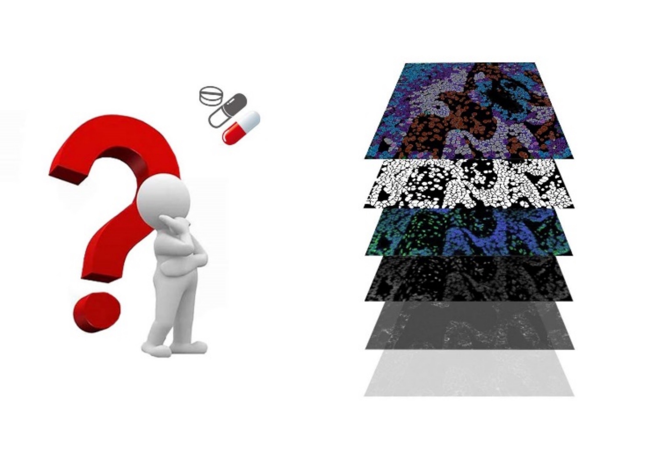 A step towards understanding the tumor immune microenvironments