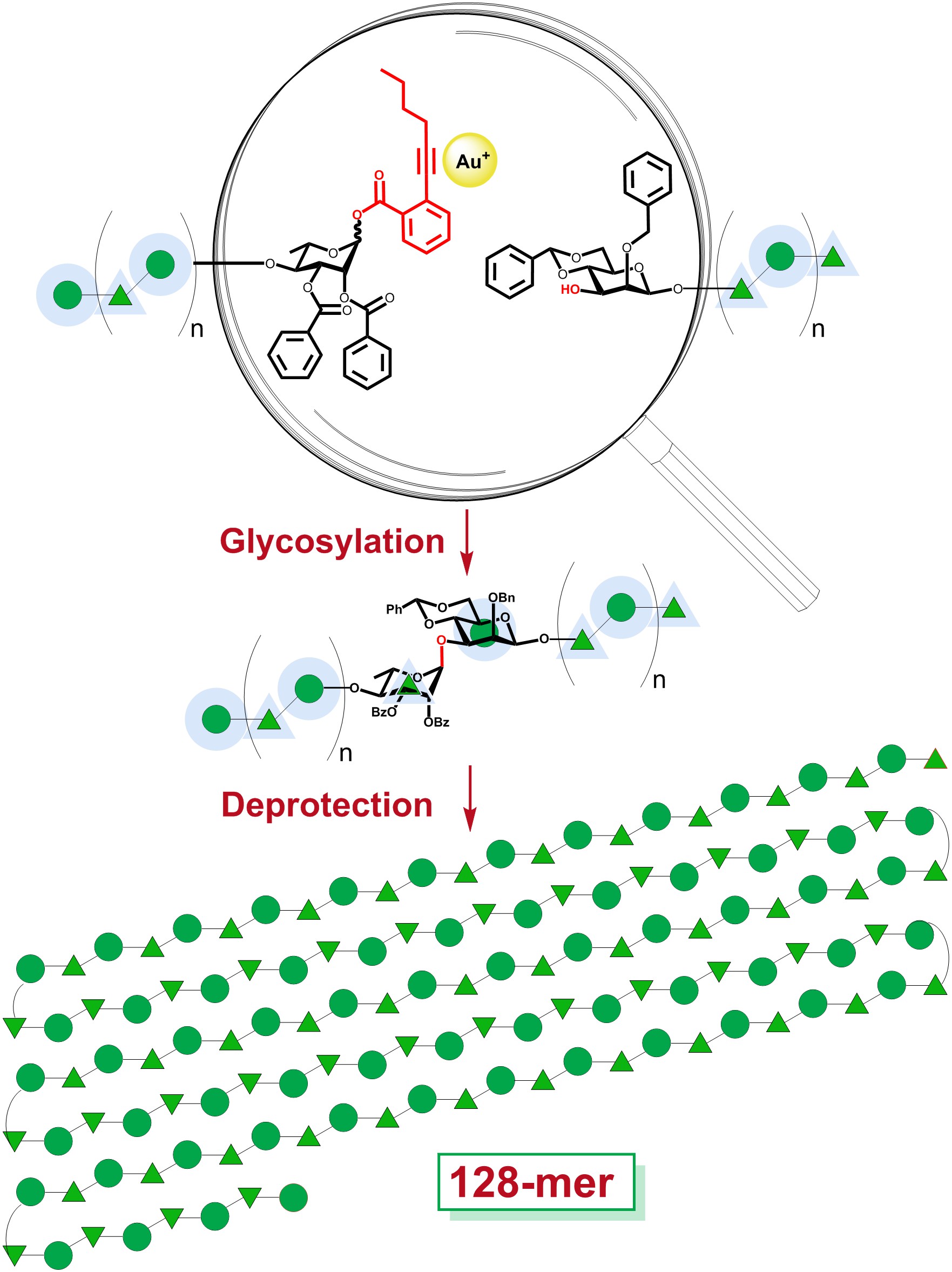 Synthesis of the longest linear 128-mer glycan