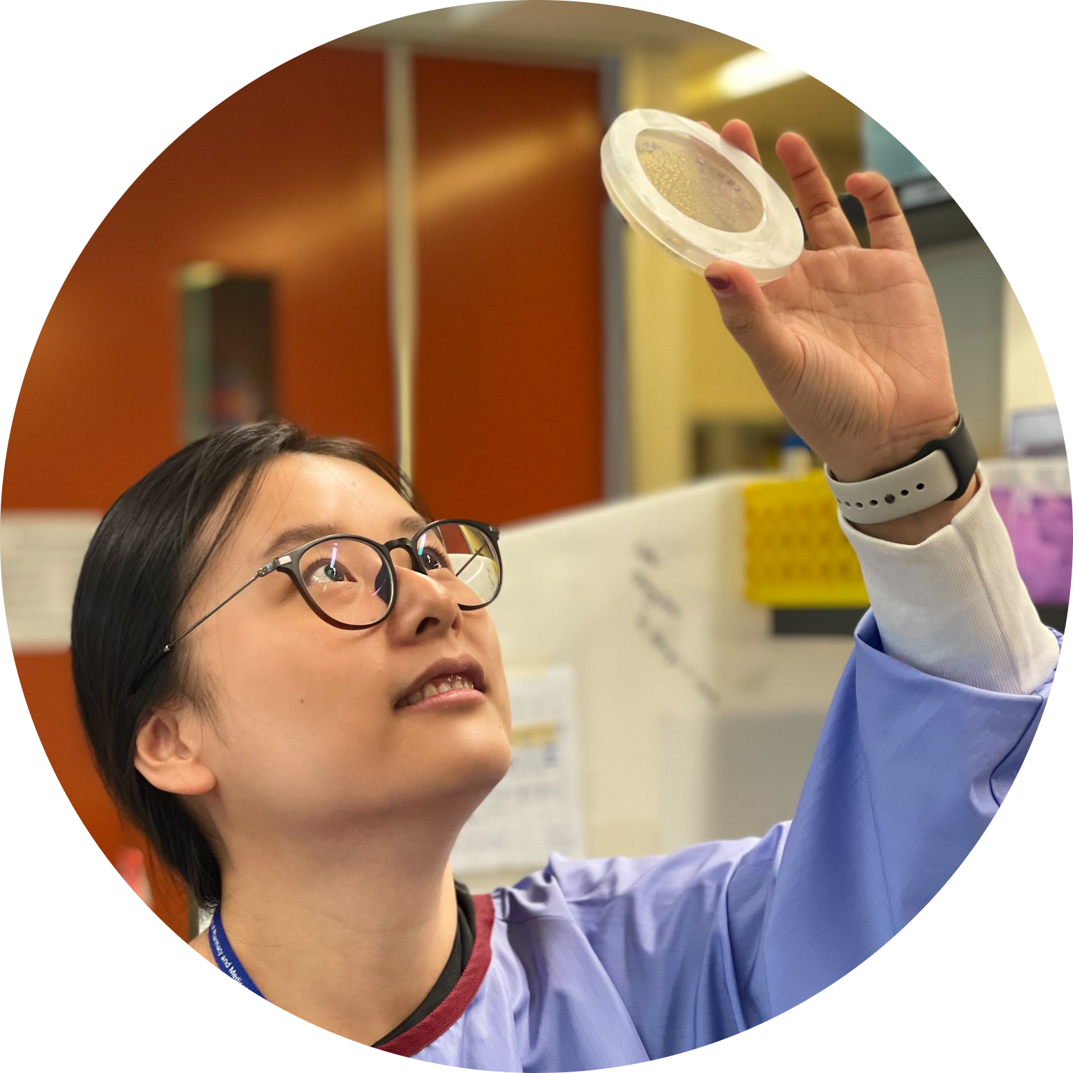 Go to the profile of Yu Wang