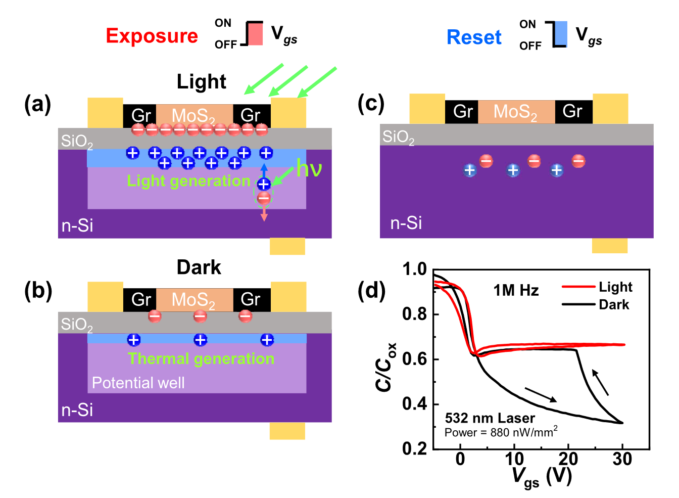 Highly Sensitive MoS2 Photodetector Based on Charge Integration and Field-Coupled Effect