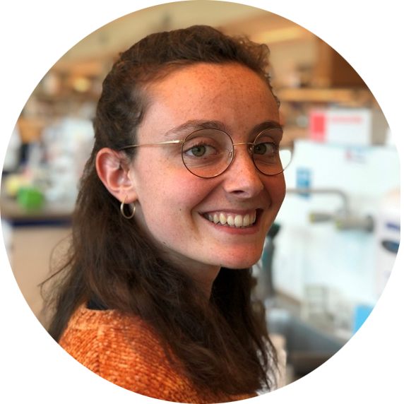 Go to the profile of Anna Pagliaro