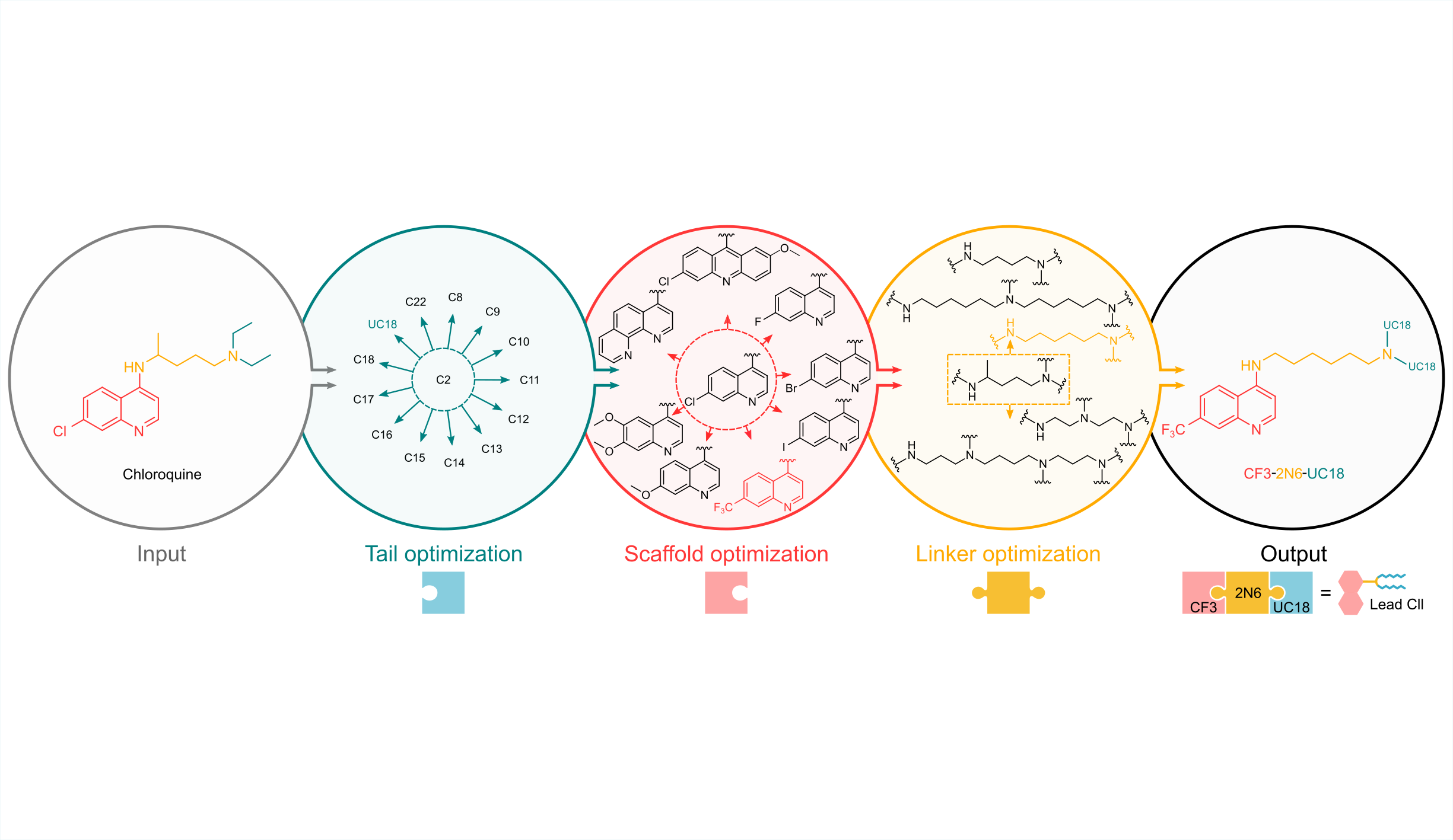 Endosomal Barriers Meet Chloroquine-like Carriers
