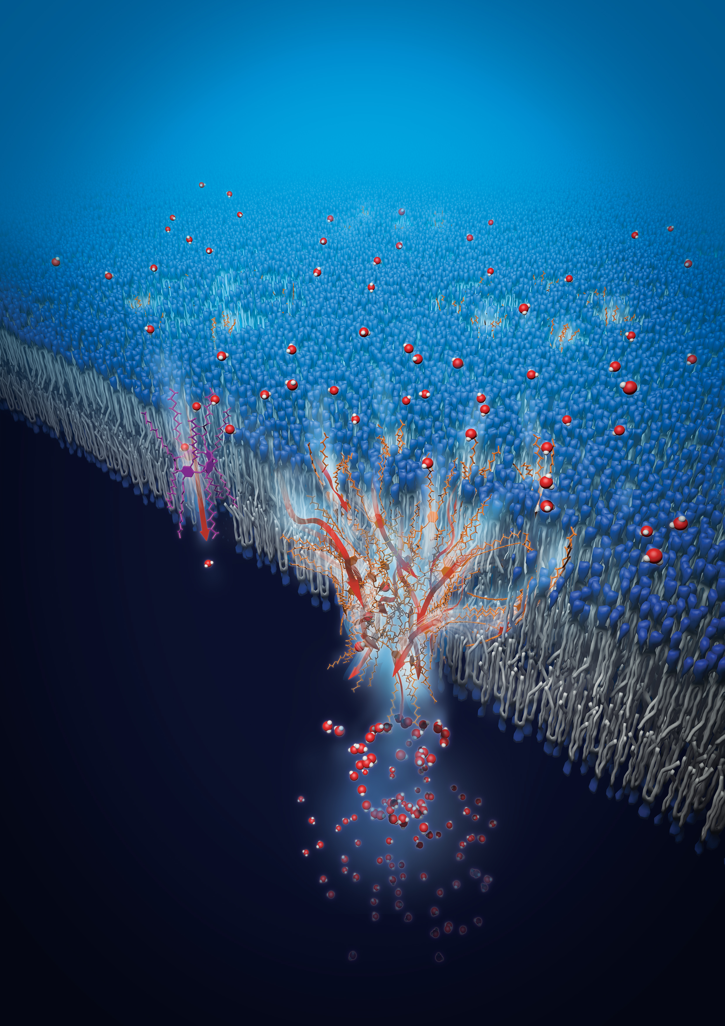 Engineering molecular water wire transport networks that could lead to enhanced desalination membranes