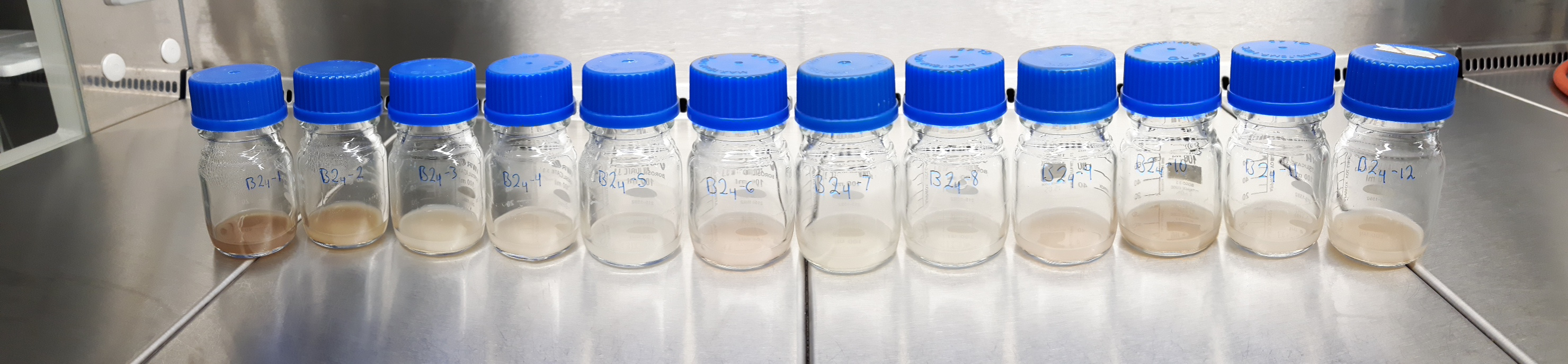 Fine-tuning the phenotypic adaptability of a soil bacterium