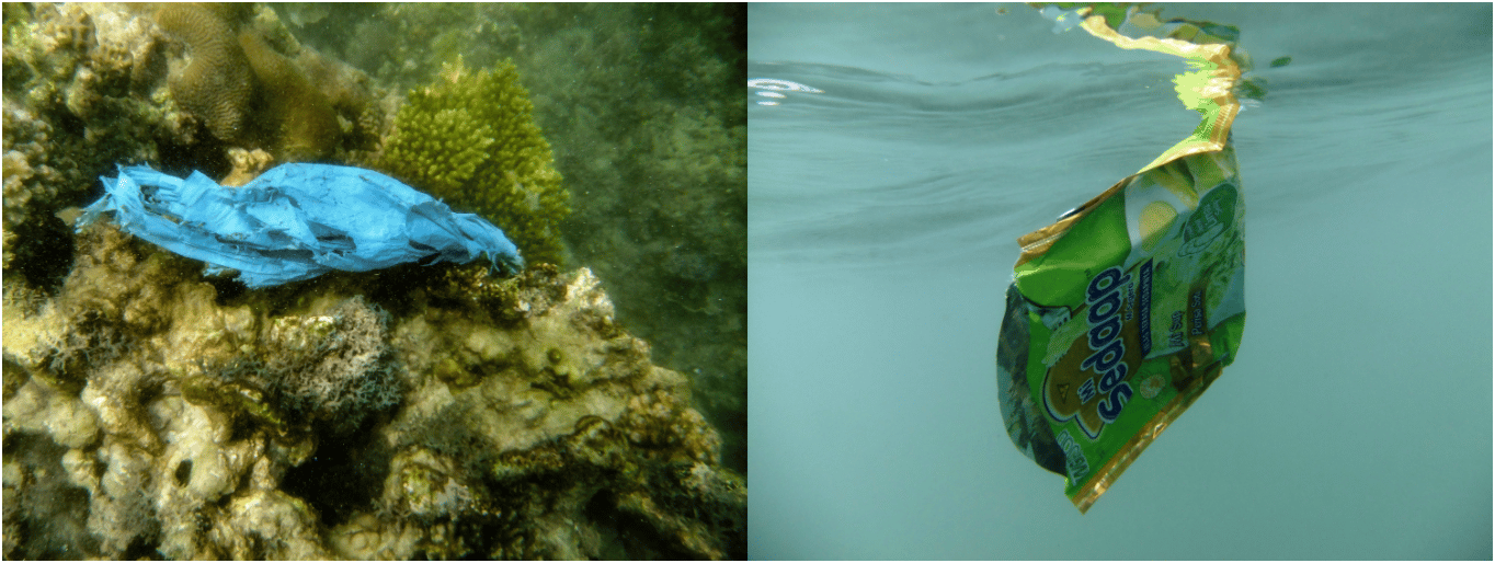 The bacterial colonisers of plastics – food or just a free ride?