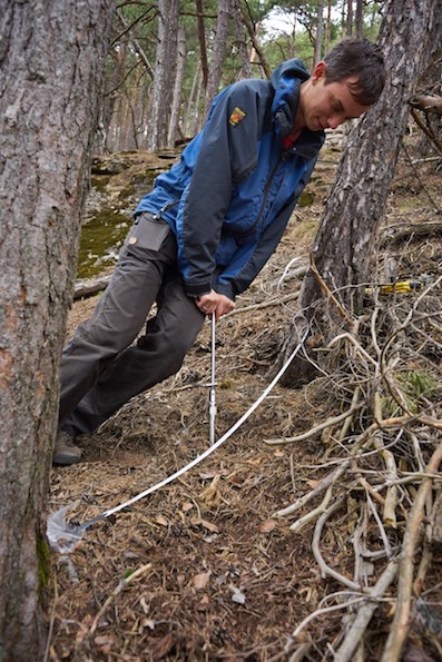 Go to the profile of Sietse van der Linde