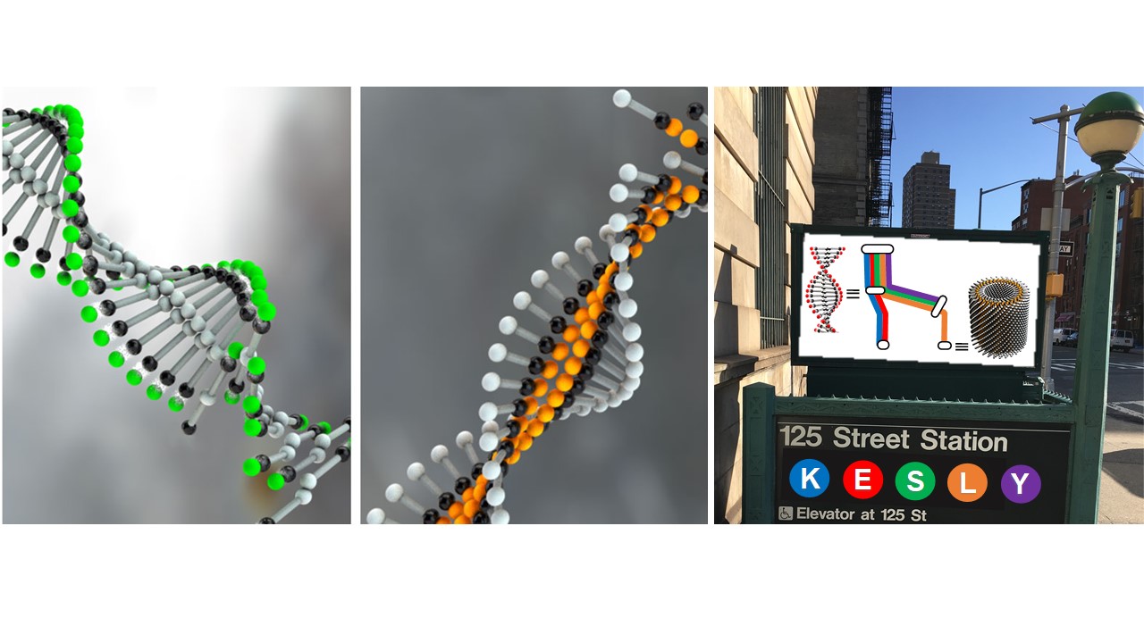 Supramolecular Transit System