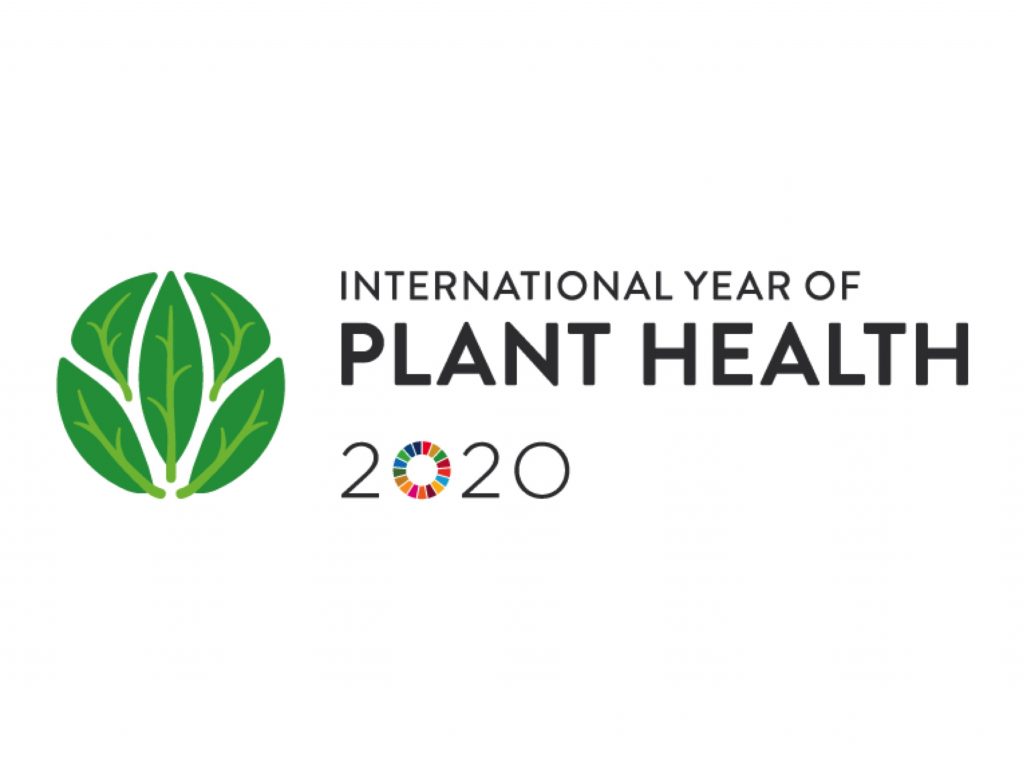 International Year of Plant Health 2020