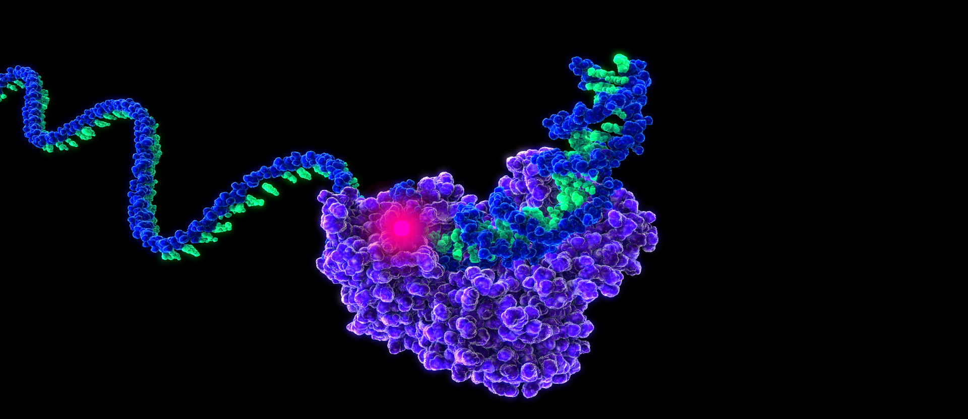 Highly-Accurate, Long-Read DNA Sequencing Improves Analysis of a Human Genome