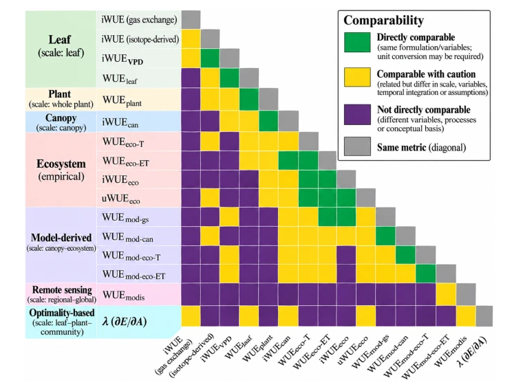 One Metric, Many Meanings: Why Water Use Efficiency Needs a Common Language