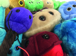 Stuffed toy selfies