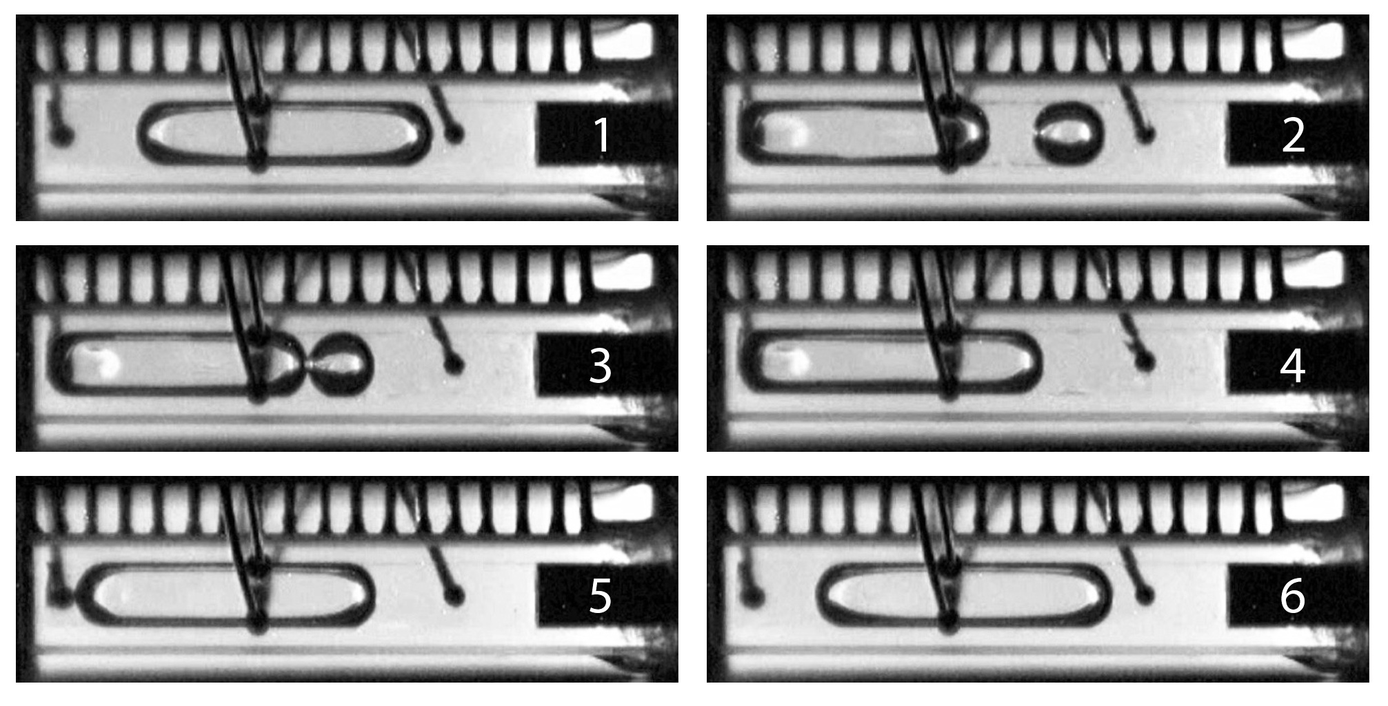 Wickless Heat Pipes, Explosive Nucleation, and Multi-phase Cooling in Microgravity