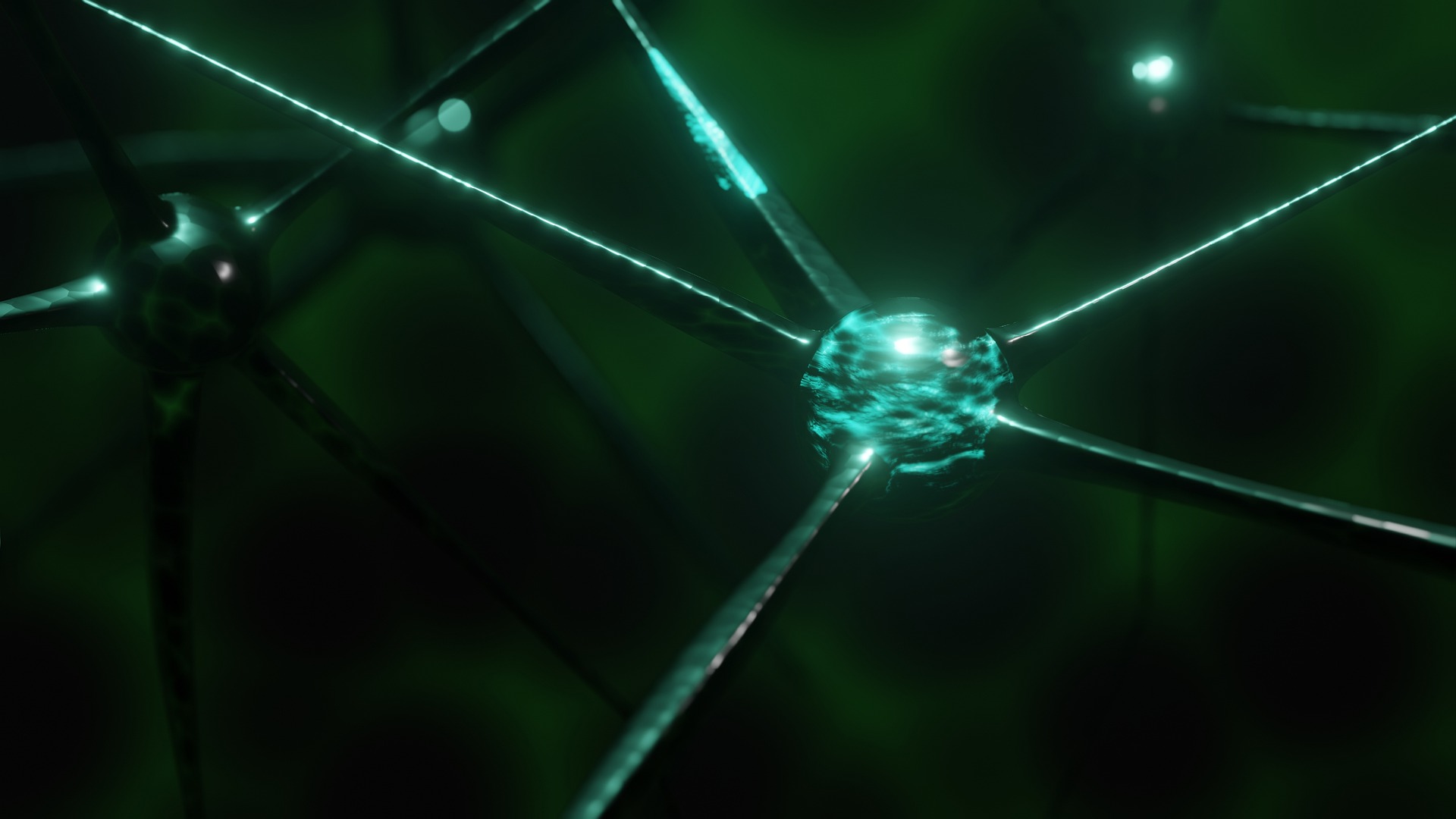 Book Review: Lessons Learned From the Wayward Brain