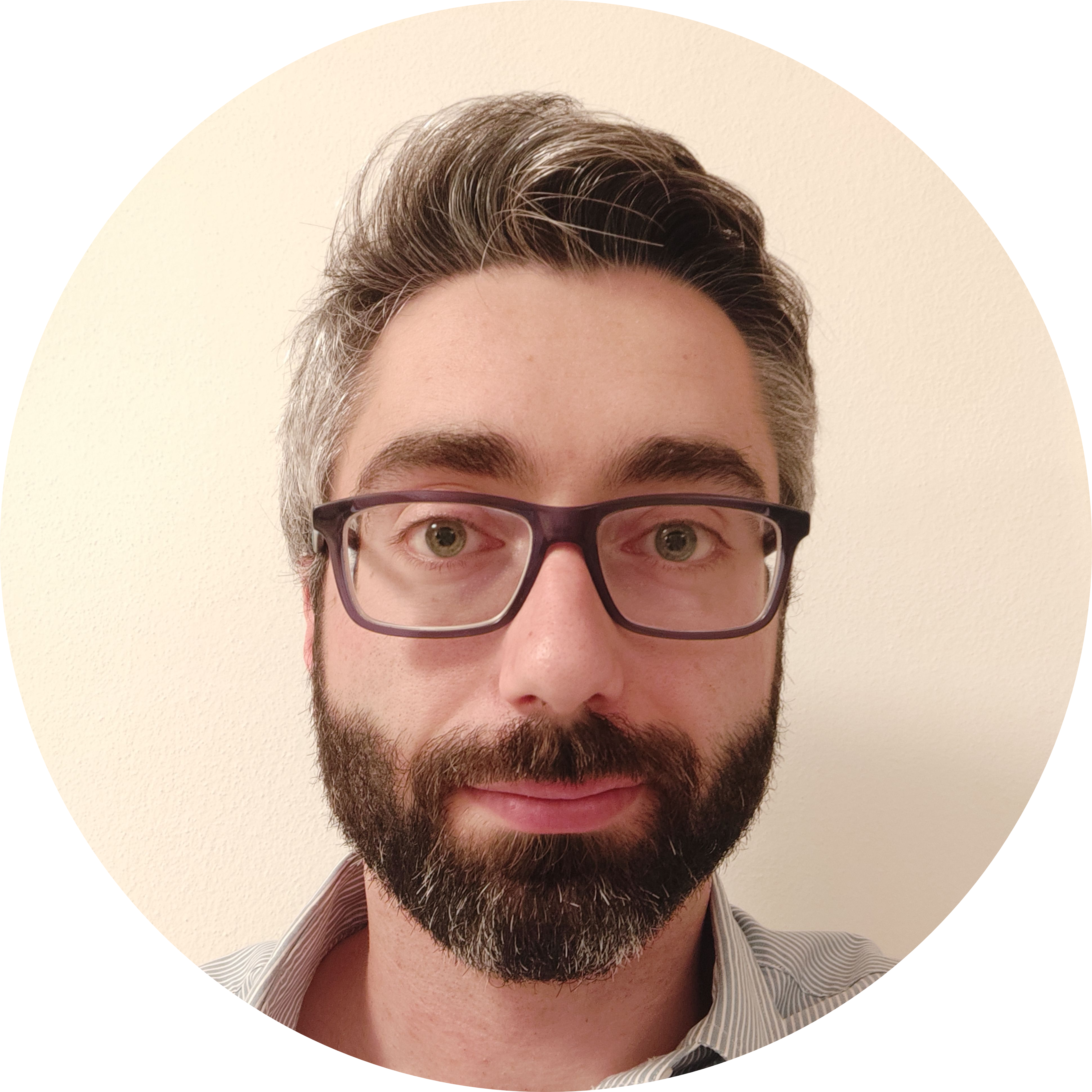 Go to the profile of Franco Angelini