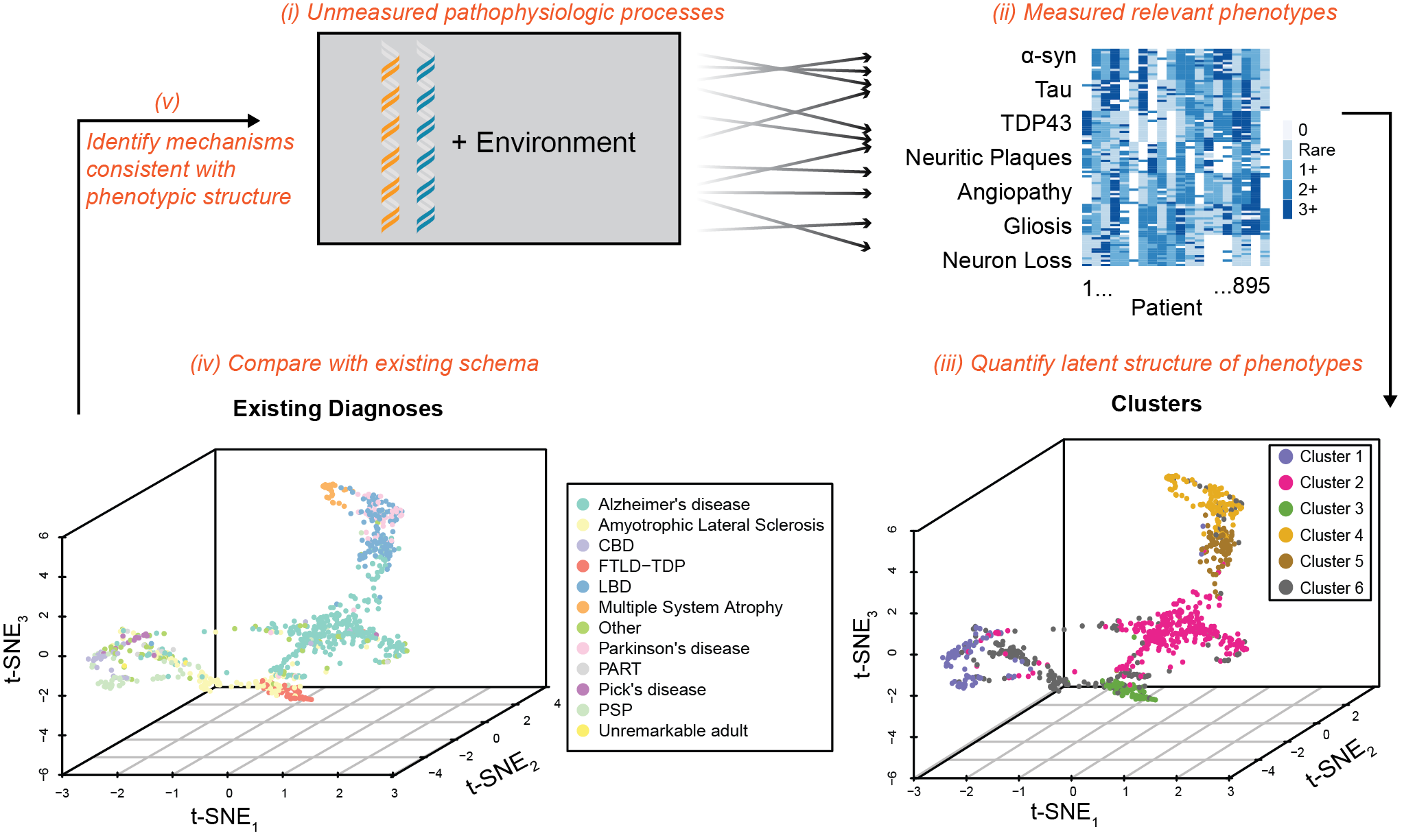Parsing overlap between neurodegenerative disorders