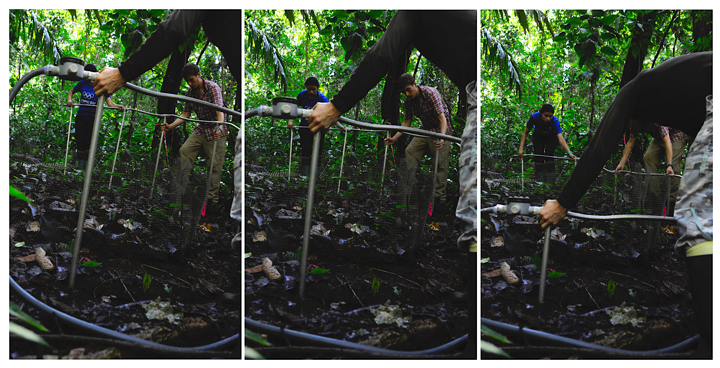 Warming threatens tropical soil microbial diversity