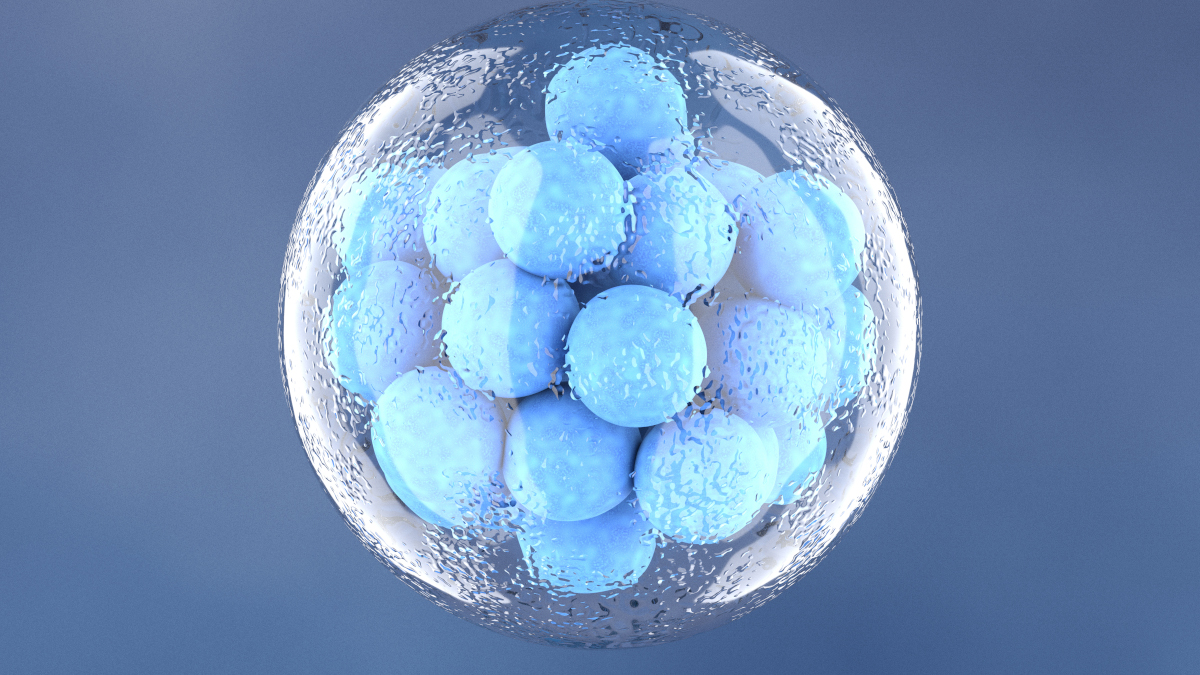Call for papers: Developmental epigenetics