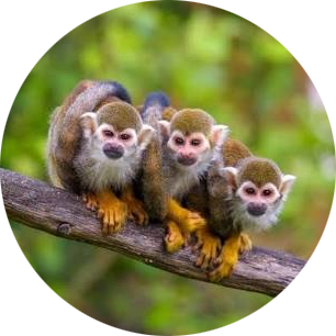 Go to the profile of L Dadionne CFA PharmD/JD