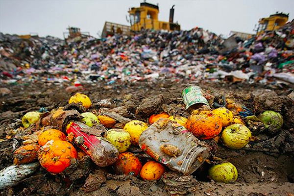 Catalysing changes on the ground and up: evidence from 106 ENGOs in community waste management in China