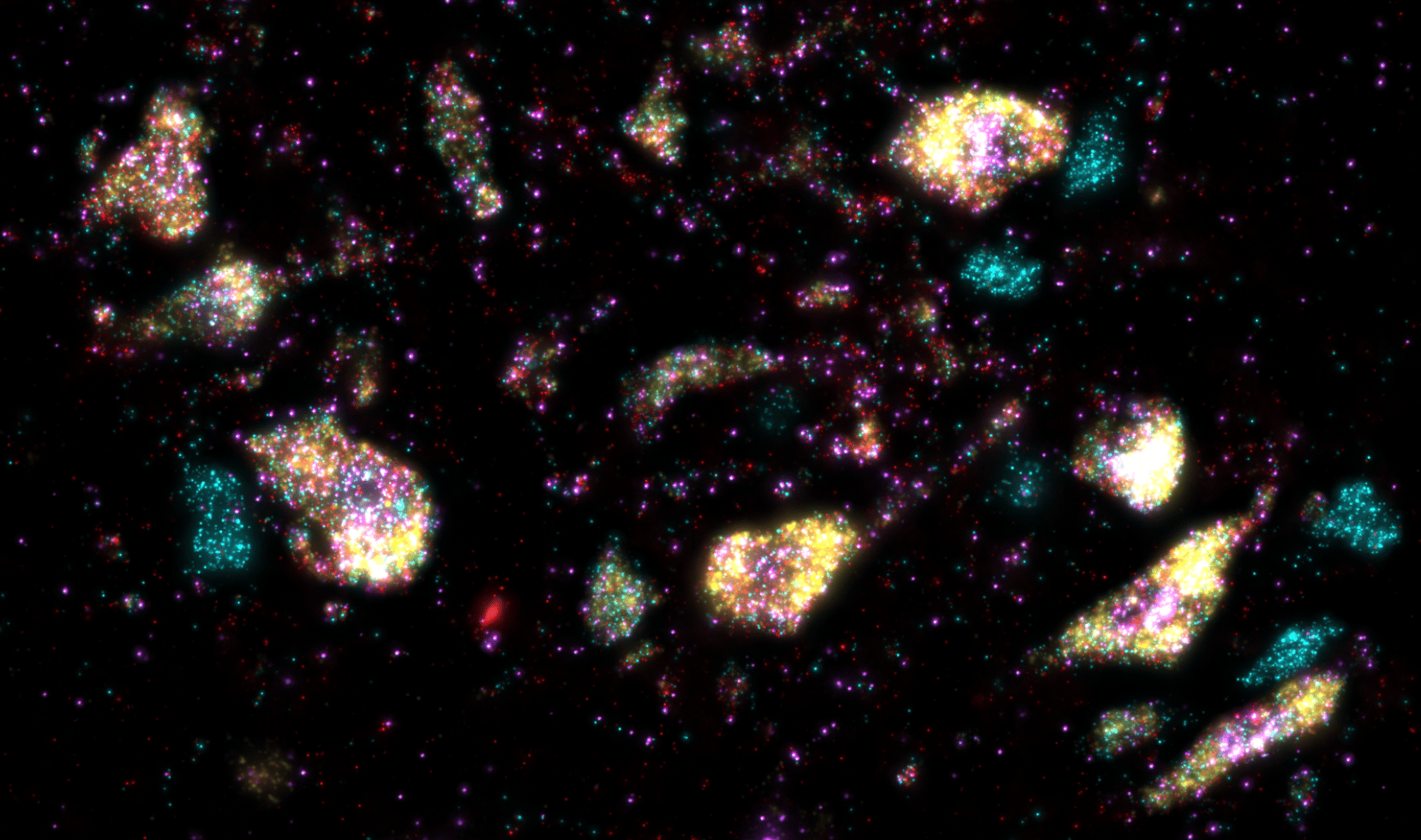 Spinal motor neuron diversity: a story of sequencing, serendipity, and synergy
