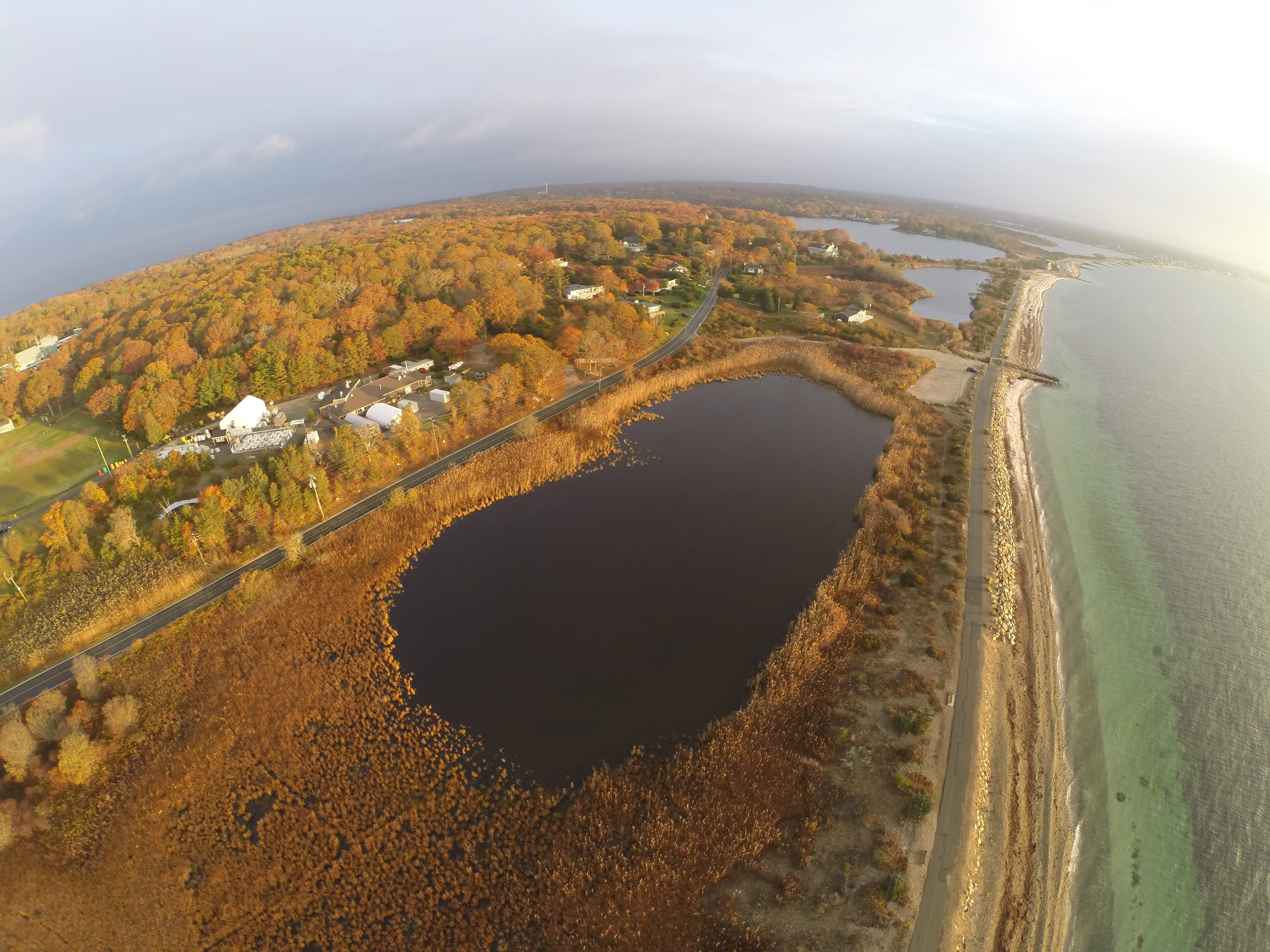 Tiny Electricity Eating Marine Microbes with a Big Job - Carbon Sequestration In Marine Wetlands