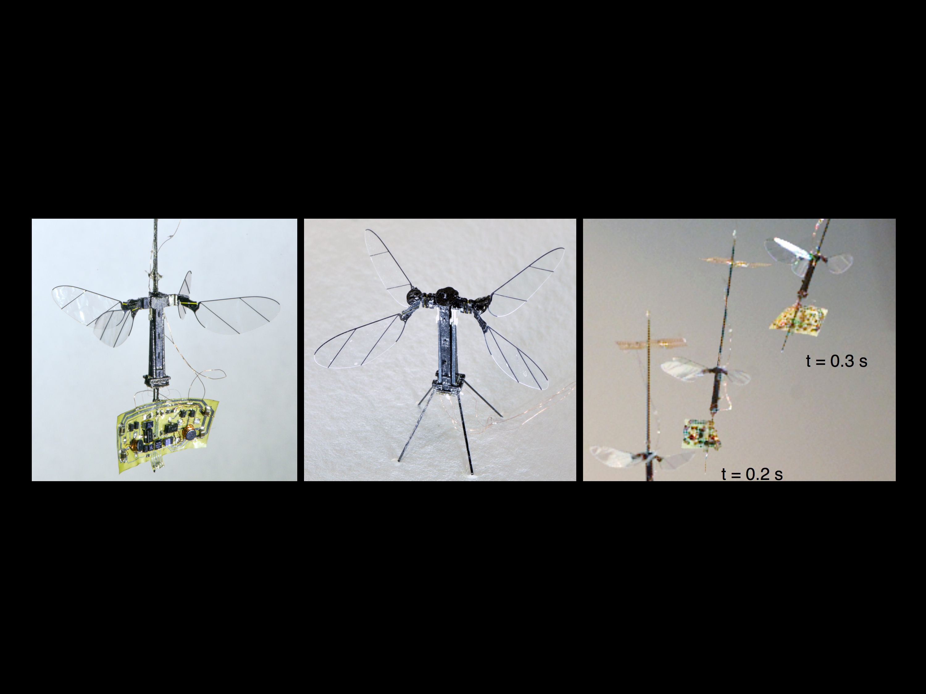 Untethered flight of an insect-sized flapping-wing microscale aerial vehicle