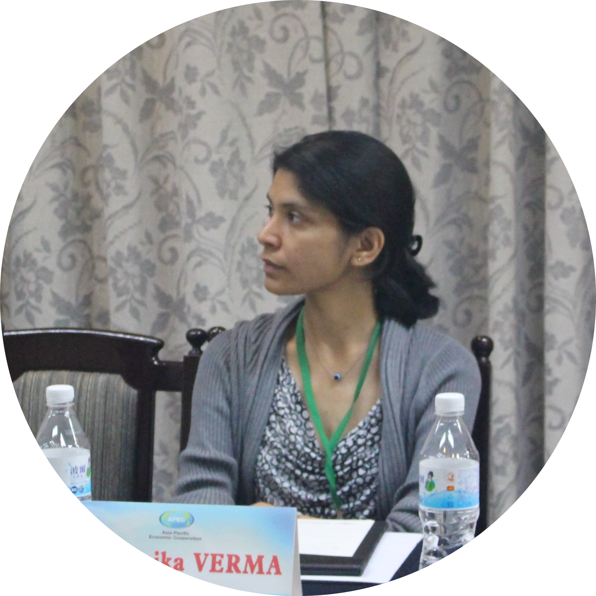 Go to the profile of Monika Verma