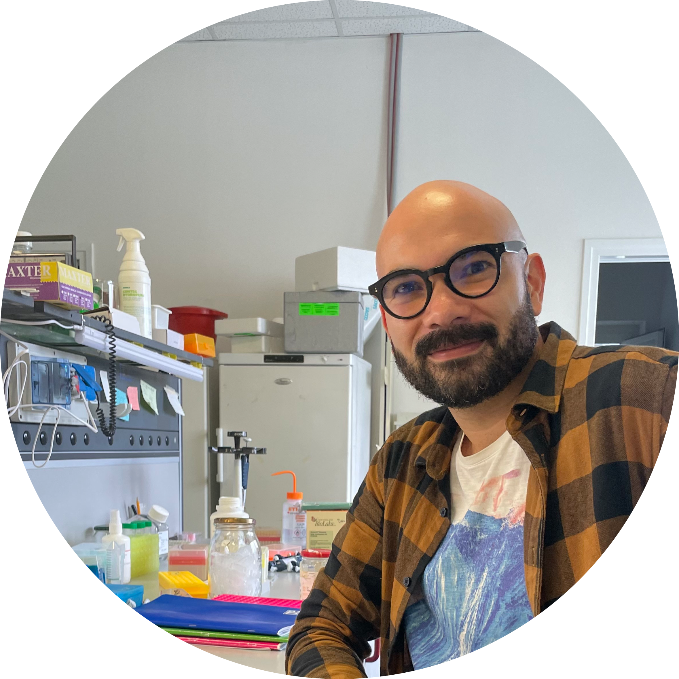 Go to the profile of Hugo Perdomo