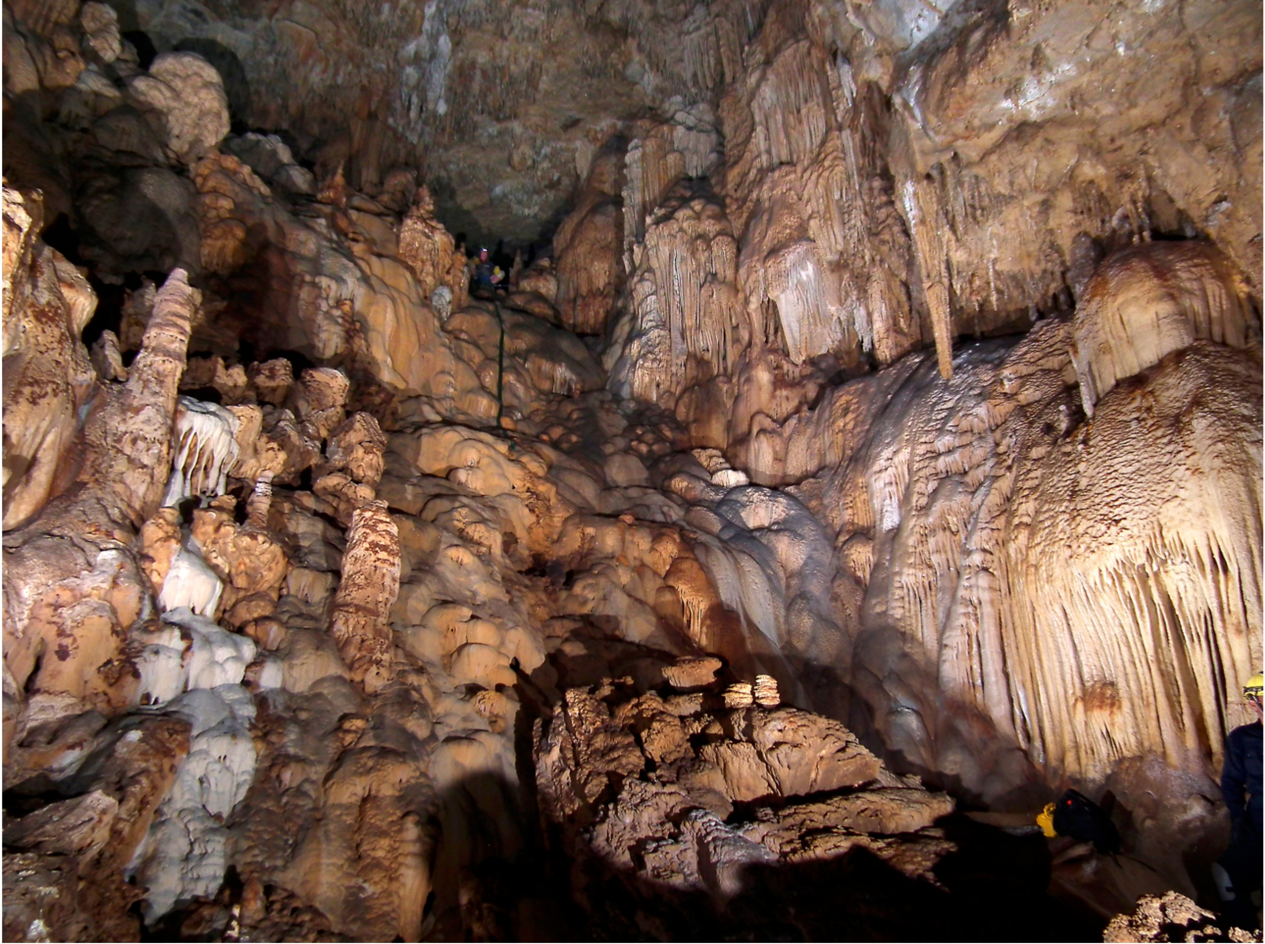 Coeval stalagmites confirm large glacial-interglacial swings in Sulawesi rainfall 