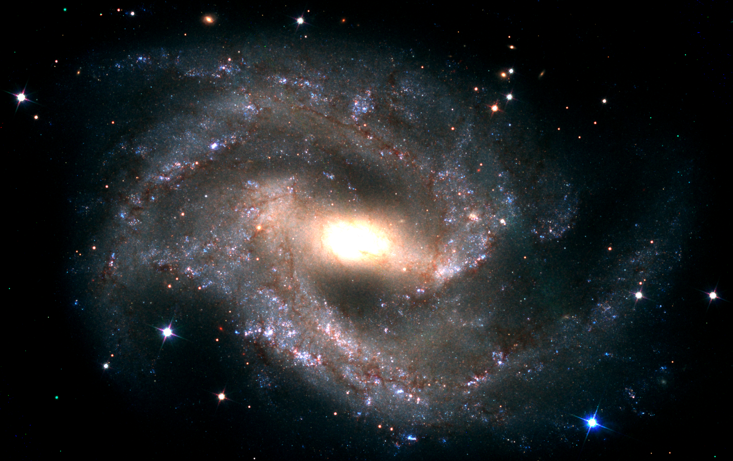 A year-long plateau in the near-infrared light curves of Type Ia supernovae
